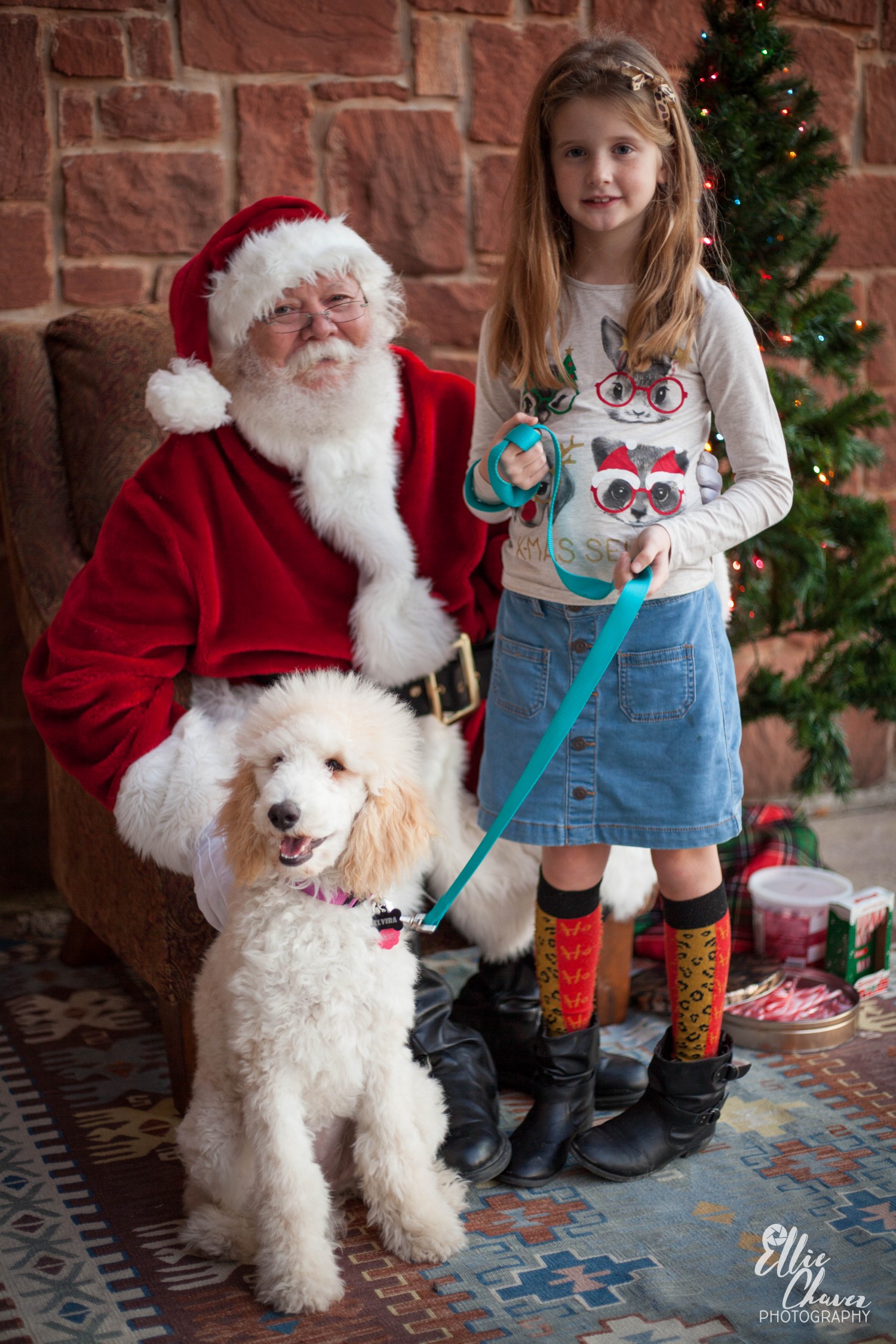 Santa Pet Photos at The Lago Vista Family Festival